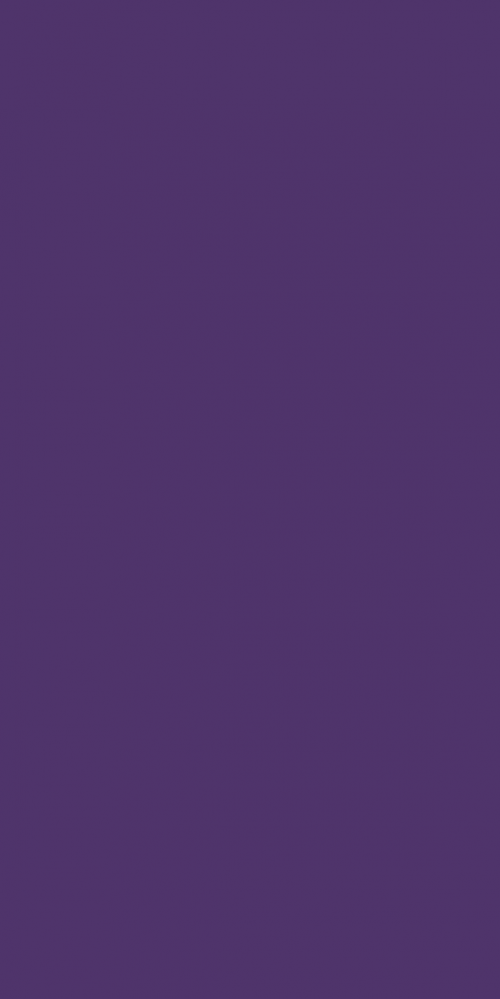 BSE 2184 S - Purple