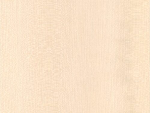 BWG 8252 S - Tropical Maple High Pressure Laminate (HPL), Billiona Enterprise Singapore