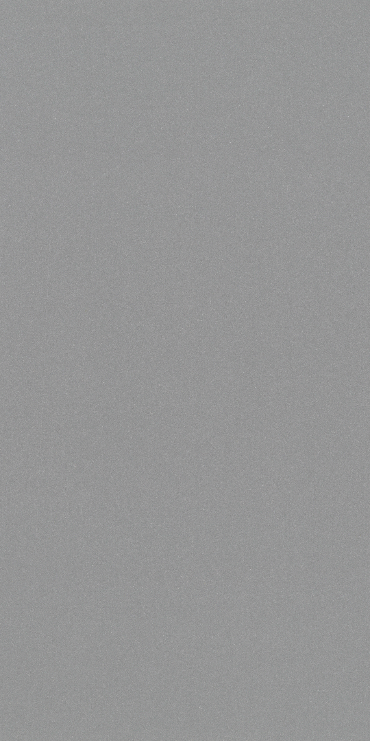 BCK 3396 B – Silver Glitter